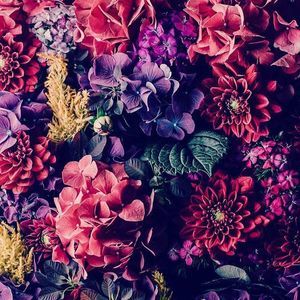 Meet your Posher, Nabaa